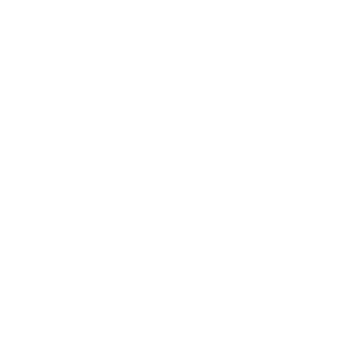 Institut Nera - Logo